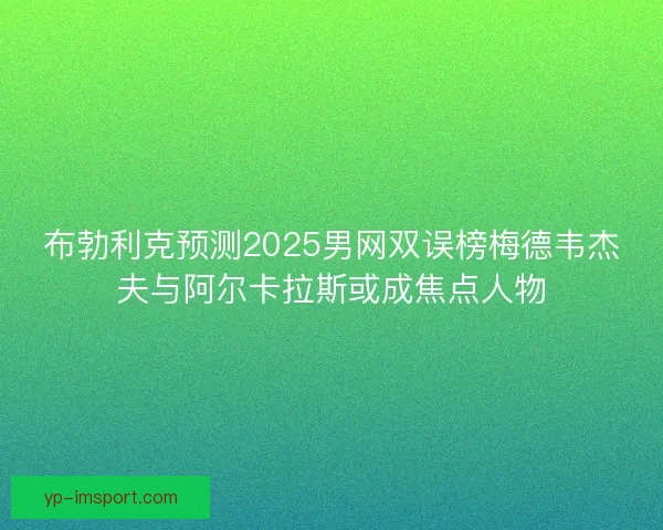 布勃利克预测2025男网双误榜梅德韦杰夫与阿尔卡拉斯或成焦点人物